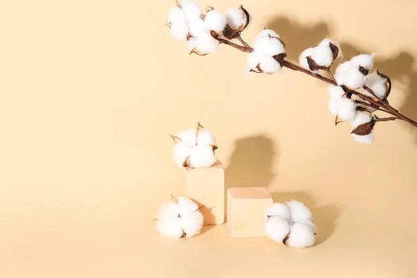 Cotton Flowers Twig Cubes Beige Background — Stock Photo, Image