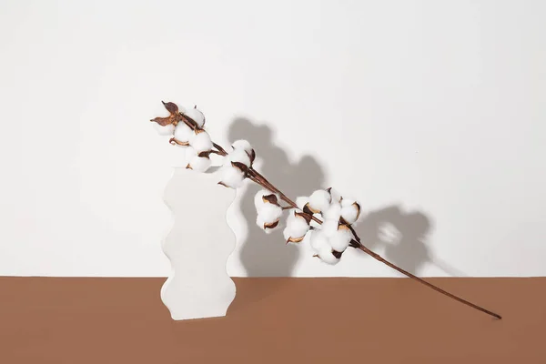 Cotton Twig Stand Brown Table White Wall — Stock Photo, Image
