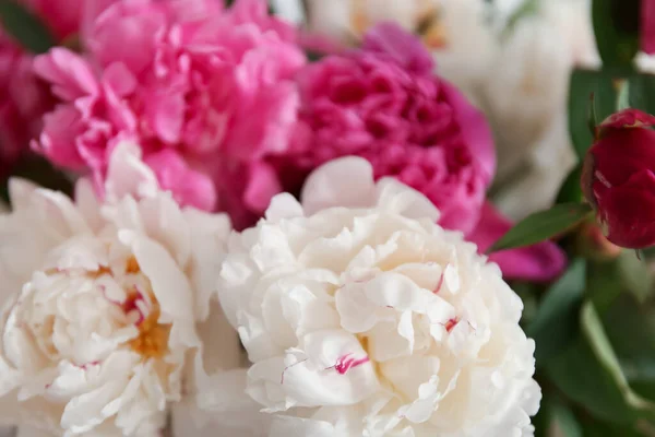 Bouquet Fleurs Pivoine Fleurs Gros Plan — Photo