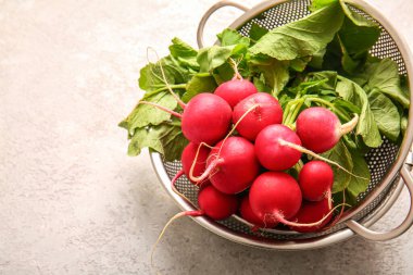 Hafif arka planda taze turplu kolanderler