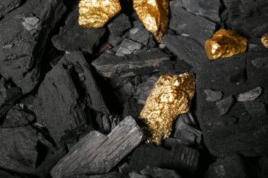 Siyah kömür üzerinde altın külçeler, yakın plan.