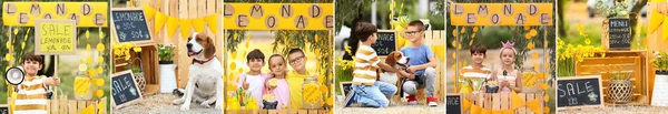 Collage Med Barn Som Säljer Lemonad Parken — Stockfoto
