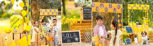 Colagem Com Crianças Vendendo Limonada Parque — Fotografia de Stock