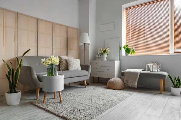 Interior Living Room Grey Sofa Drawers Bench — Stock Photo, Image
