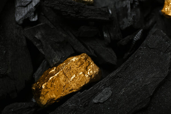 Golden nugget on black charcoal, closeup