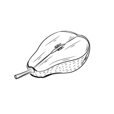 Beyaz arka plan üzerinde olgun armut yarısı