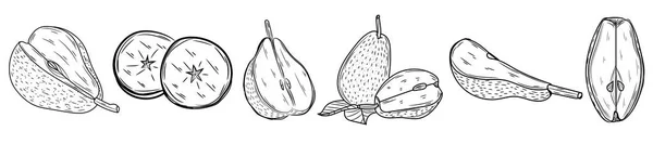 Set Ripe Pears White Background — стоковый вектор