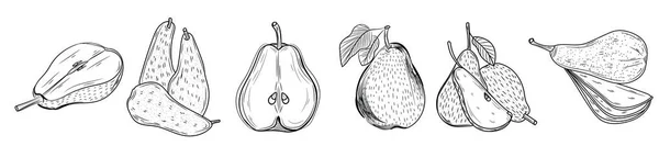 Set Ripe Pears White Background — Stock Vector