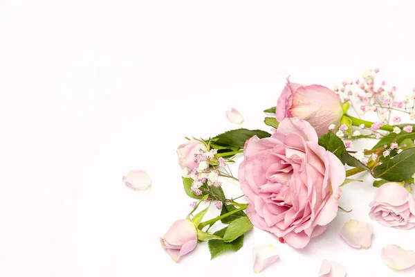 Όμορφα Ροζ Λουλούδια Λευκό Φόντο — Φωτογραφία Αρχείου