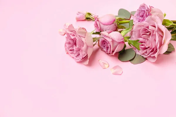Hermosas Rosas Con Ramas Eucalipto Sobre Fondo Rosa — Foto de Stock