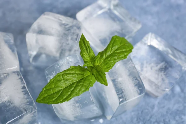 stock image Fresh mint with ice cubes on blue background