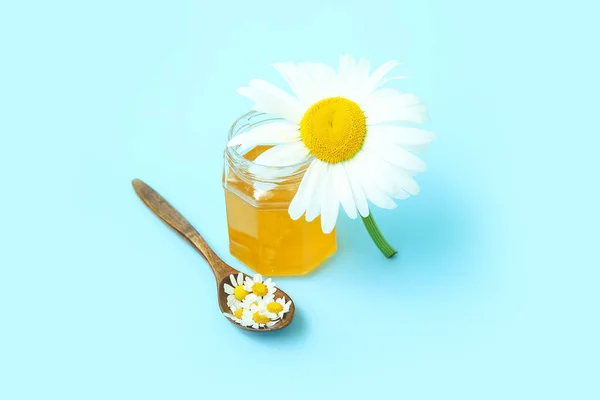 Glas Honig Getrocknete Und Frische Kamillenblüten Auf Farbigem Hintergrund — Stockfoto