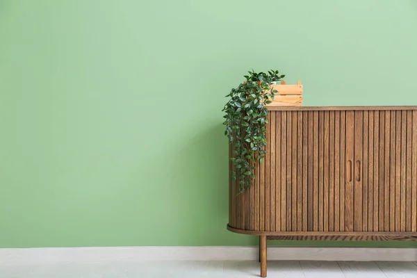 Wooden Chest Drawers Houseplant Green Wall Room — Stock Photo, Image