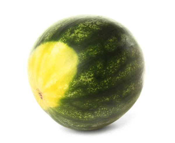 Fresh Watermelon White Background — Stock Photo, Image