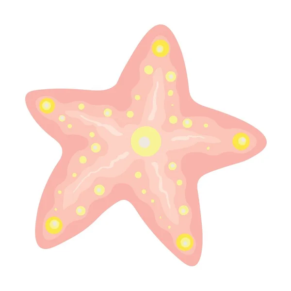 Gyönyörű Tengeri Csillag Fehér Háttér — Stock Vector