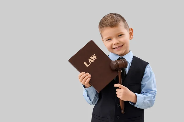 Hukuk Kitabı Gri Arka Planda Tokmağı Olan Sevimli Küçük Yargıç — Stok fotoğraf