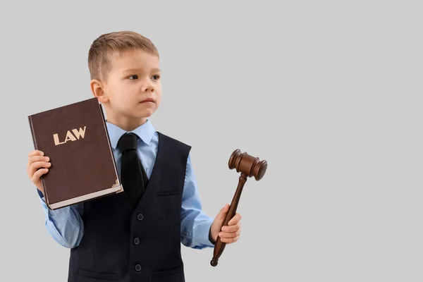 Hukuk Kitabı Gri Arka Planda Tokmağı Olan Sevimli Küçük Yargıç — Stok fotoğraf