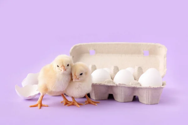 Cute little chicks with eggs on lilac background