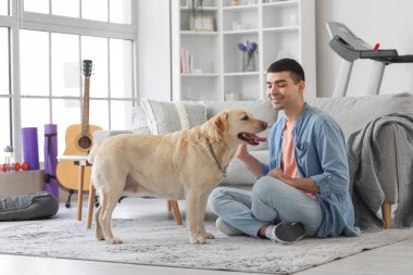 Labrador köpeği olan genç adam evde yerde oturuyor.