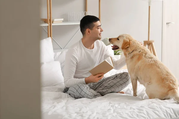 Young Man Book Cute Labrador Dog Sitting Bedroom — Stock Photo, Image