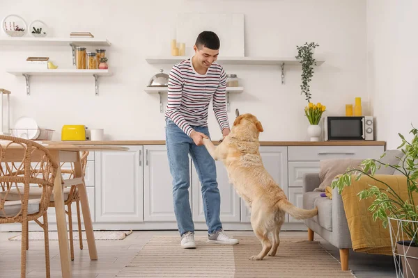 Young man with cute Labrador dog dancing in kitchen