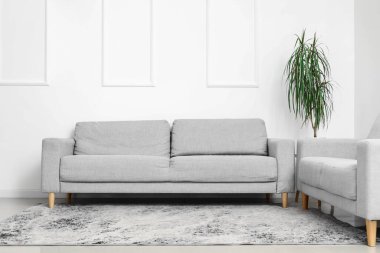 Oturma odasının içinde rahat gri koltuklar, ev bitkisi ve şık bir halı var.