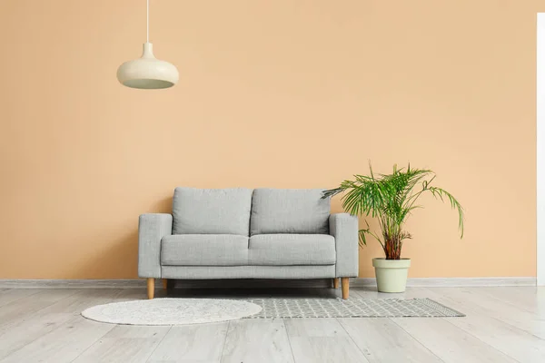 Cozy Grey Sofa Houseplant Beige Wall — Stock Photo, Image