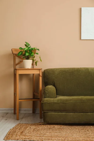 舒适的灰色沙发和靠近米黄色墙壁的凳子上的室内植物 — 图库照片