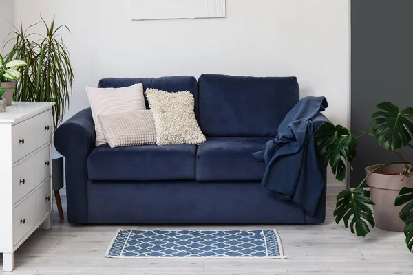 Interior Sala Estar Con Acogedor Sofá Azul Cómoda Plantas Interior —  Fotos de Stock