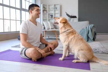 Evde şirin Labrador köpek eğitimi almış genç bir adam.