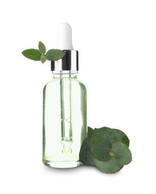 Beyaz arka planda okaliptüs dalı olan bir şişe kozmetik yağı.