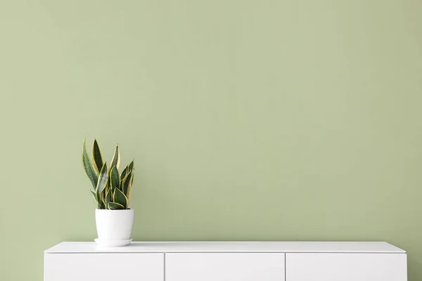 Modern Chest Drawers Houseplant Green Wall Room — Stock Photo, Image