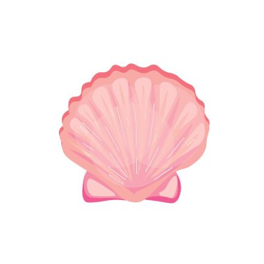 beyaz zemin üzerinde güzel deniz kabuğu