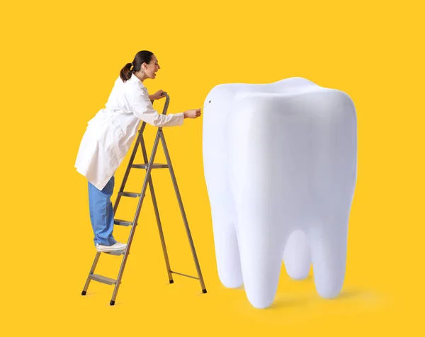 Female Dentist Examining Big Tooth Yellow Background — Stock Photo, Image