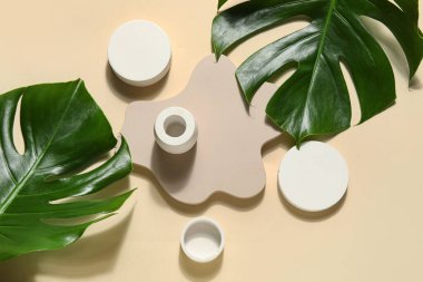 Bej arka planda alçı podyumlar ve canavar yaprakları