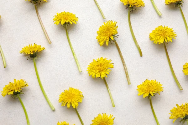 Stock image Bright yellow dandelions on white background