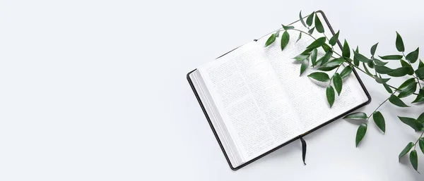 Bíblia Sagrada Ramo Fundo Branco Com Espaço Para Texto — Fotografia de Stock
