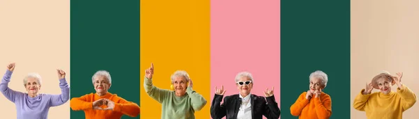 Collage Snygga Senior Kvinna Färg Bakgrund — Stockfoto