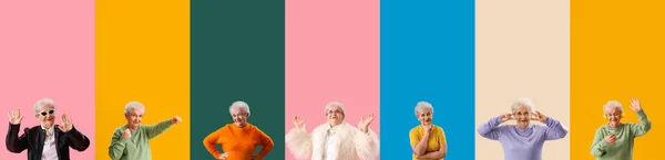 Collage Van Stijlvolle Senior Vrouw Kleur Achtergrond — Stockfoto