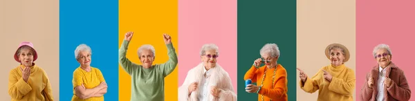 Collage Stylish Senior Woman Color Background — Stock Photo, Image