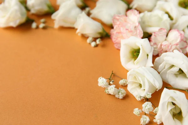 Composition Beautiful White Flowers Color Background Closeup — Stock Photo, Image