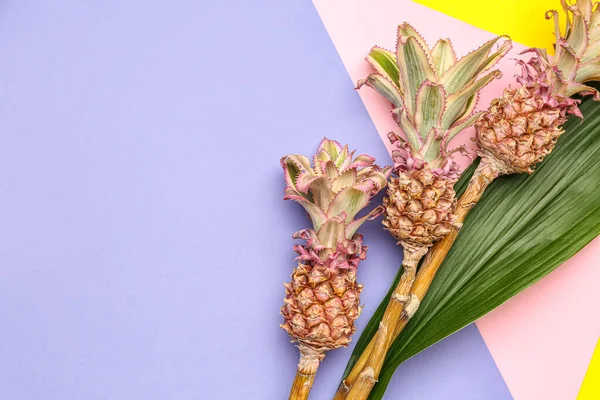Decorative pineapples with palm leaf on color background