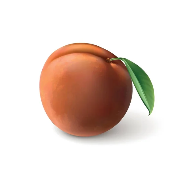 白色背景的多汁桃子 — 图库矢量图片