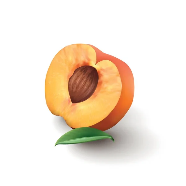 Half Juicy Peach White Background — Stock Vector