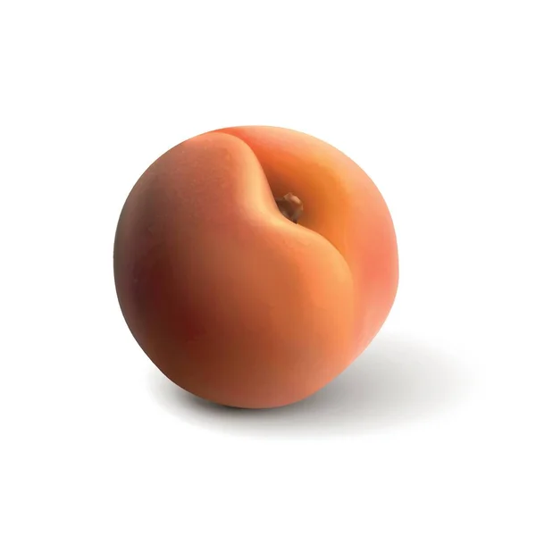 Juicy Peach White Background — Stock Vector