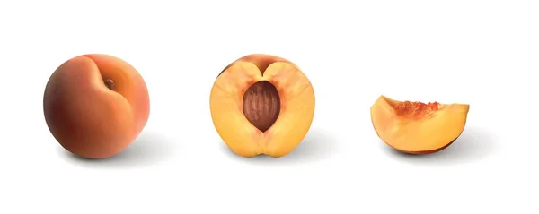 Set Juicy Peaches White Background — Stock Vector