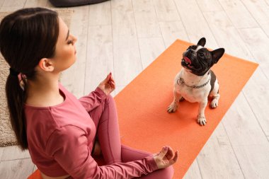 Fransız buldoguyla evde meditasyon yapan genç bir kadın.