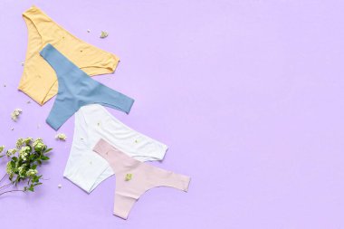 Renkli arka planda şık kadın külotları ve çiçek açan bitki dalları.