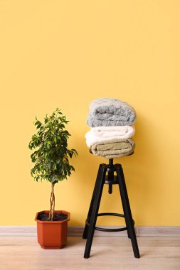 Sandalyeye yeni yumuşak battaniyeler ve sarı duvarın yanındaki ev bitkisi.
