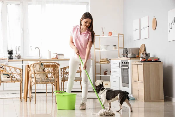 Junge Frau Wischt Mit Ihrer Französischen Bulldogge Boden Küche — Stockfoto